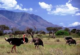 kidepo National Park
